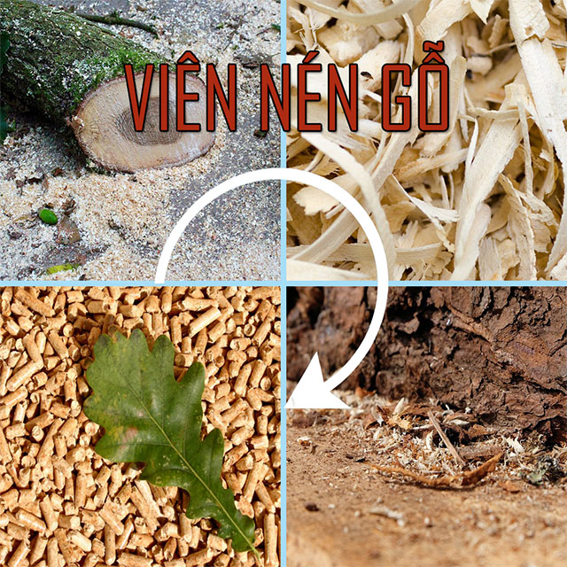Vien nen go la gi Viên nén gỗ là gì?